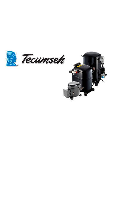 Tecumseh 